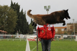 Les photos de ring