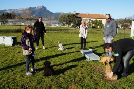 Les photos de l&lsquo;école des chiots